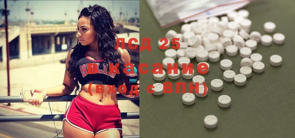 крисы Елабуга
