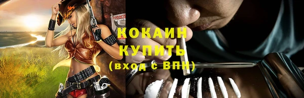 крисы Елабуга