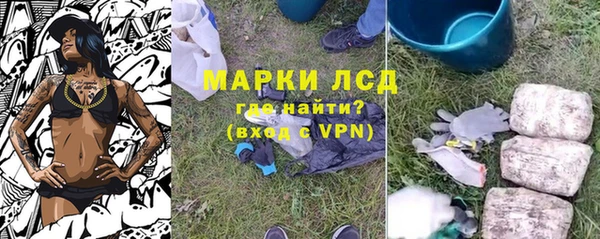 стафф Дмитров