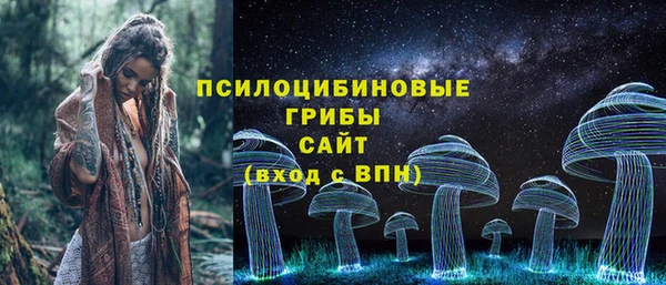 крисы Елабуга