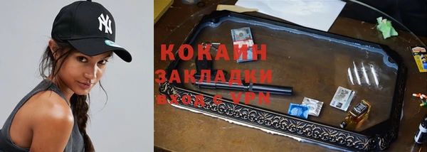 mdpv Ельня