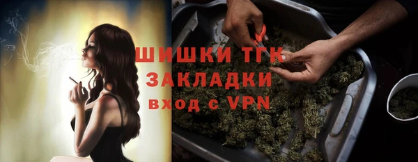 mdpv Ельня