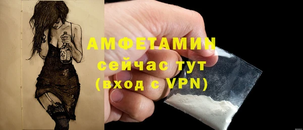 крисы Елабуга