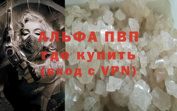 стафф Дмитров