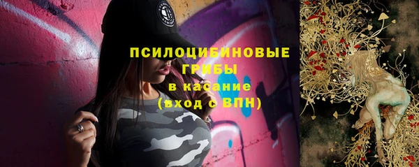 mdpv Ельня