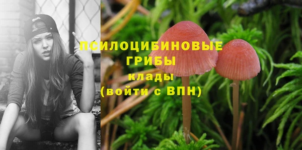 эйфоретик Дмитриев