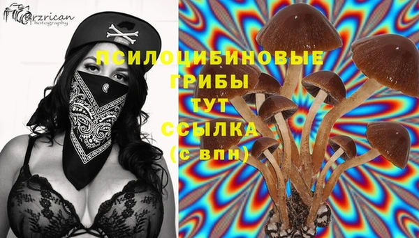 крисы Елабуга